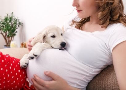 Taller Perros y Embarazo